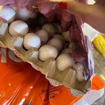 Migros Hemen Kırık Yumurta,