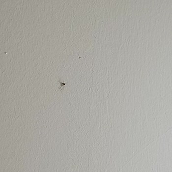 Ağaoğlu My Termal Otel Ücreti Ödemiyor Ve Çok Kirli