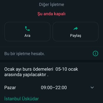 Sanat Vakfı (Burs Başvurusu) Sanat Vakfı/ Üniversite Vakfı Burs Hakkında SMS