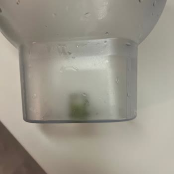 Brita Sürahi Yosun Tuttu