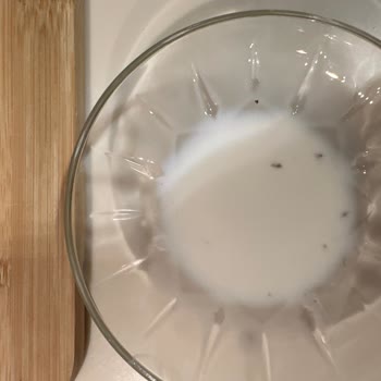 Elta Ada Organik Ürünler Sütün İçinde Sinek Gibi Garip Şeyler Var