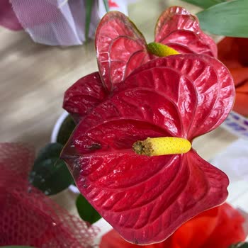 ÇiçekSepeti Çiçek Sepetinin Vurdumduymazlığı