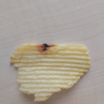 Ruffles Cipsten Çıkan Ne Olduğu Belirsiz Şey