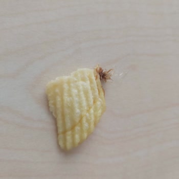 Ruffles Cipsten Çıkan Ne Olduğu Belirsiz Şey