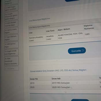 E-Devlet (Turkiye.gov.tr) Ulusal Staj Programı Sorunu