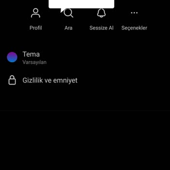 Instagram Yurt Dışından Diplomatik Kurye İle Para Gönderme Teklifi!