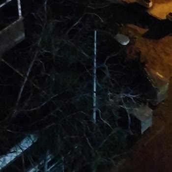 Alo 186 Bedaş Çağrı Merkezi Sokak Lambası Gündüz Yanıyor Sadece