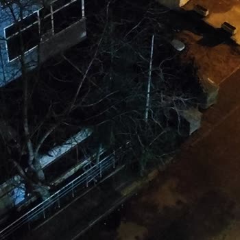 Alo 186 Bedaş Çağrı Merkezi Sokak Lambası Gündüz Yanıyor Sadece