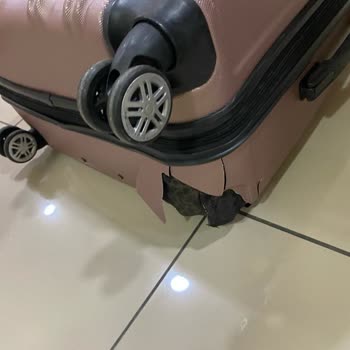 THY Havayolu Şirketinin Valiz Hasarına Çözüm Bulamaması
