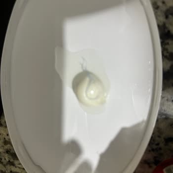 Ekici Peynir Top Peynirde Mavi Plastik Görünümlü İpler