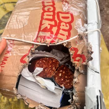 Yurtiçi Kargo Kargonun Kedi Tarafından Yenilmesi
