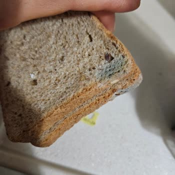 Getir Küflü Ekmek Hayal Kırıklığı Ve Para İadesi Talebi