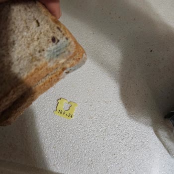 Getir Küflü Ekmek Hayal Kırıklığı Ve Para İadesi Talebi