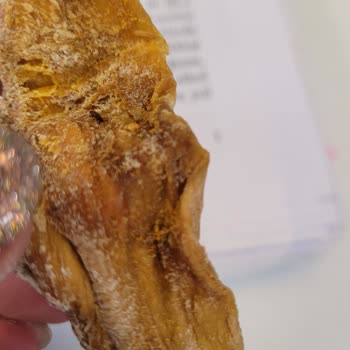 Çitlekçi Ürünümden Böcek Çıktı