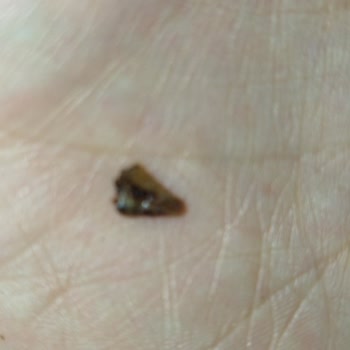 Eti Gıda Eti Karam Tanımlanamayan Sert Cisim