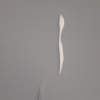 Filli Boya Firmasının Müşteri Mağduriyeti...