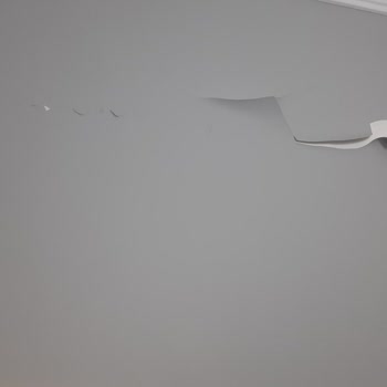 Filli Boya Firmasının Müşteri Mağduriyeti...