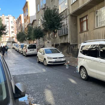 Esenler Belediyesi Park Yeri Sorunu