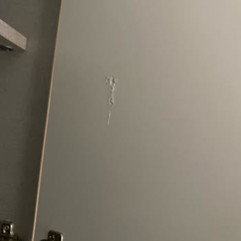 Merhaba İstikbal Beni Şaşırttı