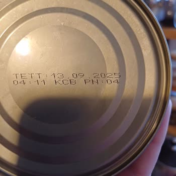 Tat Salça Küflenmesi