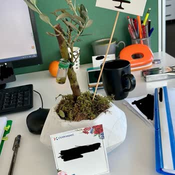 Çiçek Sepeti Kusurlu Ürün