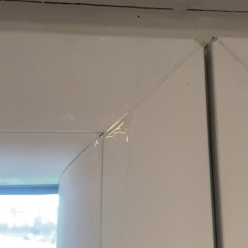 Pimapen Bitmiş, Söylememişler Haberi Yok.