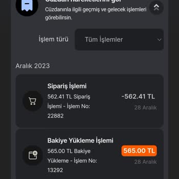 Oyunexe Hesabıma Para Yükledim Yüklenmedi