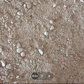 Samsung Telefon Acil Çözüm Bekliyorum