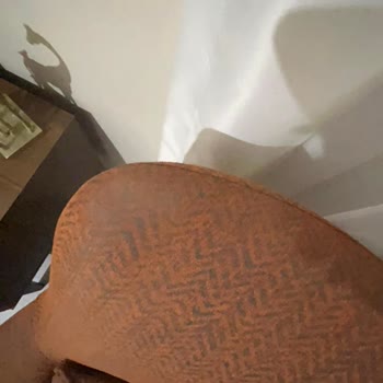 Doğtaş Mobilya Pişmanlıktır