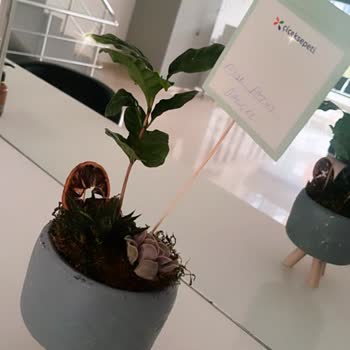 Çiçek Sepeti Çiçek Sepeti