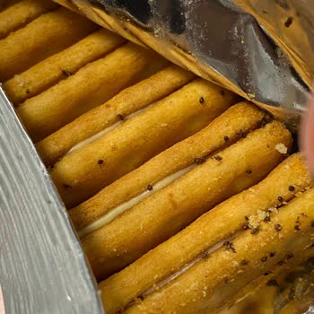 Ülker Çiziviç Böcek Çıkması