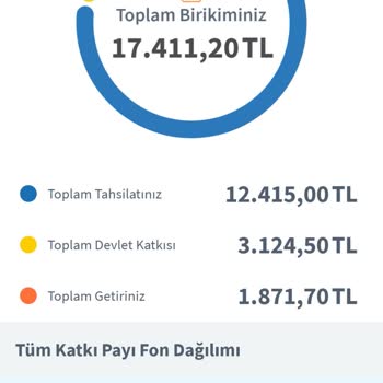 Türkiye Hayat Emeklilik Altın Hesabı