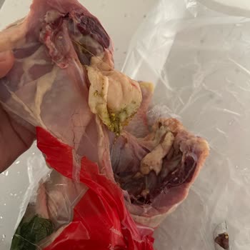 Şenpiliç Kalite Kontrolden Kaçan Ürün Hayal Kırıklığı