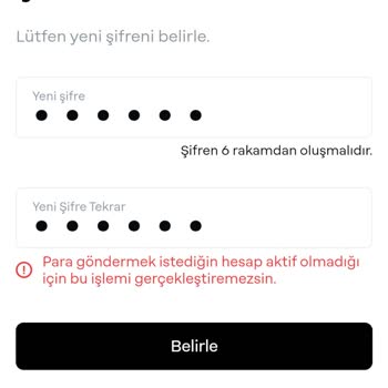 Papara Şifre Değiştirme Hatası