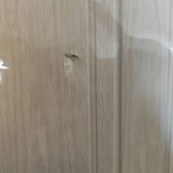 Bauhaus Online Alışveriş Sorunsalı