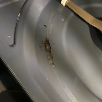 Bosch Tehlike Saçan Mikrodalga Üretimi