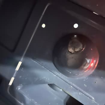 Bosch Tehlike Saçan Mikrodalga Üretimi