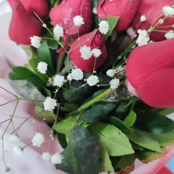 Çiçek Sepeti Artık Asla