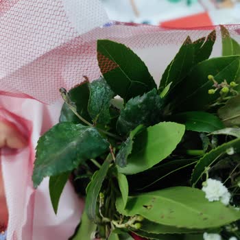 Çiçek Sepeti Artık Asla