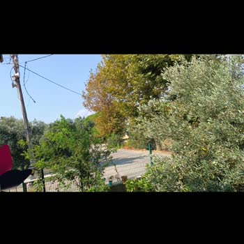 Gediz Elektrik İnsan Hayatını Dikkate Almıyor!