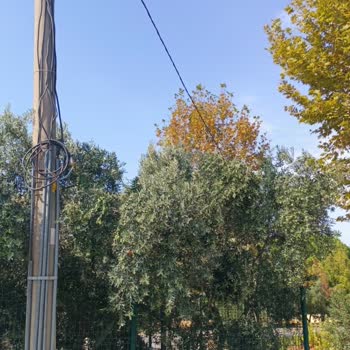 Gediz Elektrik İnsan Hayatını Dikkate Almıyor!