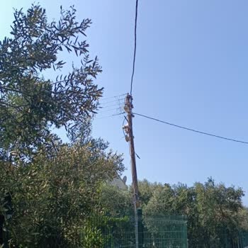 Gediz Elektrik İnsan Hayatını Dikkate Almıyor!