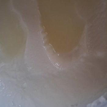 Dost Süt Aldığım Süt Ve Yoğurt Bozuk Çıktı