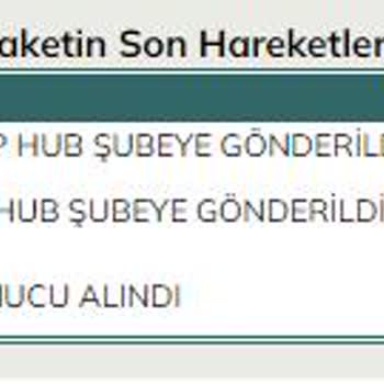 UPS Türkiye Teslim Edilemeyen Kargo