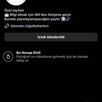 Bilgilerimle Haberim Olmadan Instagram Ve Onlyfans Hesabı Açıldı