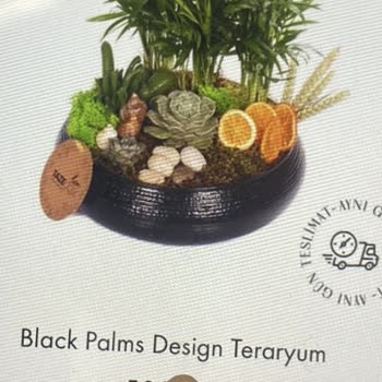 Tazecicek.com Taze Çiçek Taze Çiçek