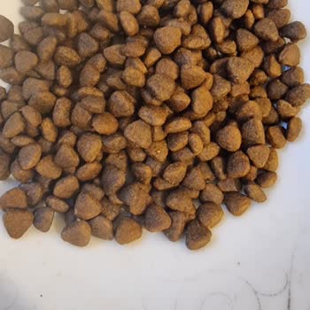 Farmina Renk Farkıyla Gelen Mama Şüphesi