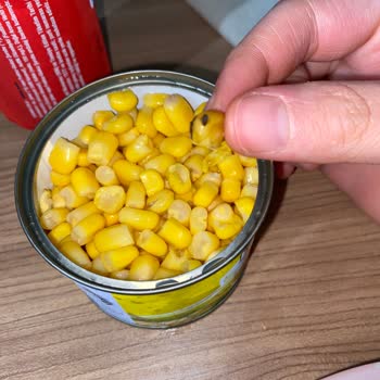 Tamek Mısır Konservesinden Sinek Çıktı