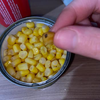 Tamek Mısır Konservesinden Sinek Çıktı