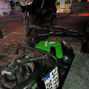 Martı Motor Aracıma Zarar Verdi Arkasında Durmadı!